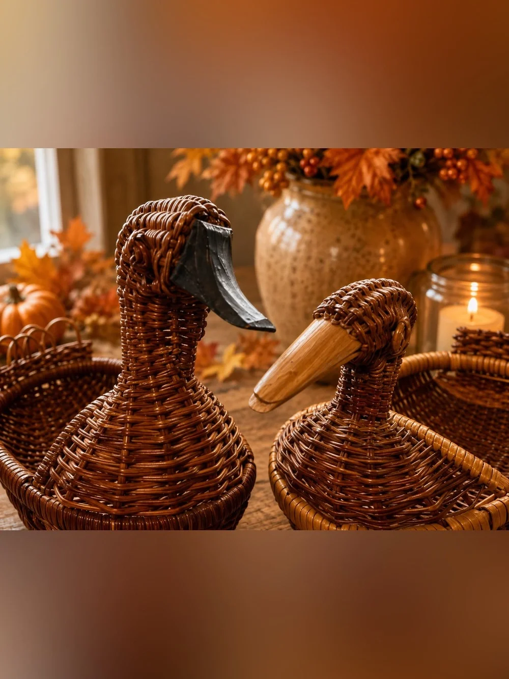 Handwoven Wicker Duck Baskets Set of 2 Cottagecore Rustic Home Decor